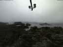 ./images/calvert/lookout/20210731/lookout20210731_052501.jpg