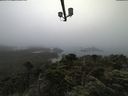 ./images/calvert/lookout/20210731/lookout20210731_081002.jpg