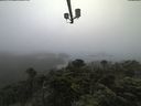 ./images/calvert/lookout/20210731/lookout20210731_082501.jpg
