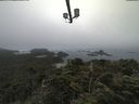 ./images/calvert/lookout/20210731/lookout20210731_091001.jpg