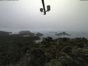 ./images/calvert/lookout/20210731/lookout20210731_091501.jpg