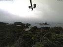 ./images/calvert/lookout/20210731/lookout20210731_095502.jpg