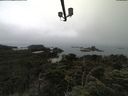 ./images/calvert/lookout/20210731/lookout20210731_100002.jpg