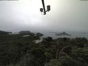 ./images/calvert/lookout/20210731/lookout20210731_100502.jpg