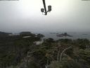 ./images/calvert/lookout/20210731/lookout20210731_111001.jpg