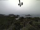 ./images/calvert/lookout/20210731/lookout20210731_111501.jpg