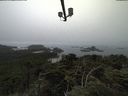 ./images/calvert/lookout/20210731/lookout20210731_112001.jpg