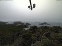./images/calvert/lookout/20210731/lookout20210731_112501.jpg