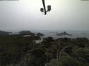 ./images/calvert/lookout/20210731/lookout20210731_113502.jpg