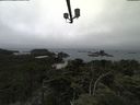 ./images/calvert/lookout/20210731/lookout20210731_115002.jpg