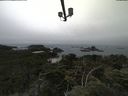 ./images/calvert/lookout/20210731/lookout20210731_115502.jpg