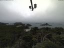 ./images/calvert/lookout/20210731/lookout20210731_120502.jpg