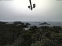 ./images/calvert/lookout/20210731/lookout20210731_134502.jpg