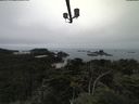 ./images/calvert/lookout/20210731/lookout20210731_140502.jpg