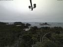 ./images/calvert/lookout/20210731/lookout20210731_145001.jpg