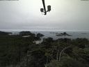 ./images/calvert/lookout/20210731/lookout20210731_145501.jpg