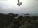 ./images/calvert/lookout/20210731/lookout20210731_152501.jpg
