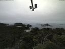 ./images/calvert/lookout/20210731/lookout20210731_153502.jpg