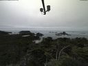 ./images/calvert/lookout/20210731/lookout20210731_154502.jpg