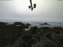 ./images/calvert/lookout/20210731/lookout20210731_155002.jpg