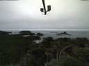 ./images/calvert/lookout/20210731/lookout20210731_161001.jpg