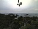 ./images/calvert/lookout/20210731/lookout20210731_205001.jpg