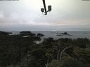 ./images/calvert/lookout/20210731/lookout20210731_210502.jpg