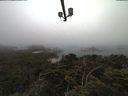 ./images/calvert/lookout/20210801/lookout20210801_064502.jpg