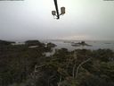 ./images/calvert/lookout/20210801/lookout20210801_065502.jpg
