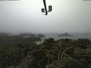 ./images/calvert/lookout/20210801/lookout20210801_072001.jpg
