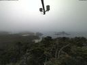 ./images/calvert/lookout/20210801/lookout20210801_072501.jpg