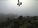 ./images/calvert/lookout/20210801/lookout20210801_074501.jpg