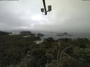 ./images/calvert/lookout/20210801/lookout20210801_084502.jpg