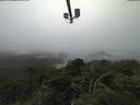 ./images/calvert/lookout/20210801/lookout20210801_085501.jpg