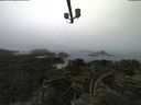 ./images/calvert/lookout/20210801/lookout20210801_092001.jpg