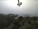 ./images/calvert/lookout/20210801/lookout20210801_101002.jpg