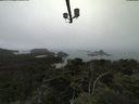 ./images/calvert/lookout/20210801/lookout20210801_102502.jpg