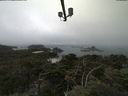 ./images/calvert/lookout/20210801/lookout20210801_104501.jpg