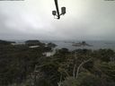 ./images/calvert/lookout/20210801/lookout20210801_105501.jpg