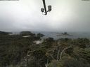 ./images/calvert/lookout/20210801/lookout20210801_110501.jpg