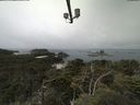 ./images/calvert/lookout/20210801/lookout20210801_112001.jpg