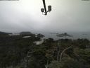 ./images/calvert/lookout/20210801/lookout20210801_120501.jpg