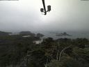 ./images/calvert/lookout/20210801/lookout20210801_124502.jpg