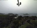 ./images/calvert/lookout/20210801/lookout20210801_125502.jpg