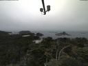 ./images/calvert/lookout/20210801/lookout20210801_132501.jpg