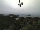 ./images/calvert/lookout/20210801/lookout20210801_133501.jpg
