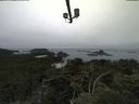 ./images/calvert/lookout/20210801/lookout20210801_135001.jpg