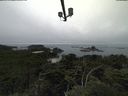./images/calvert/lookout/20210801/lookout20210801_135501.jpg
