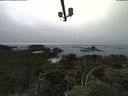 ./images/calvert/lookout/20210801/lookout20210801_141001.jpg