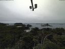 ./images/calvert/lookout/20210801/lookout20210801_142001.jpg
